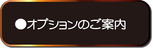 オプションのご案内